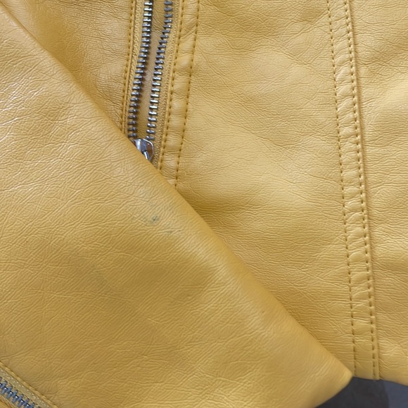 Jacket - Picture 15 of 15